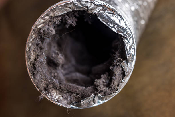 Best Air Duct Cleaning Company Near Me  in Kingston, NJ
