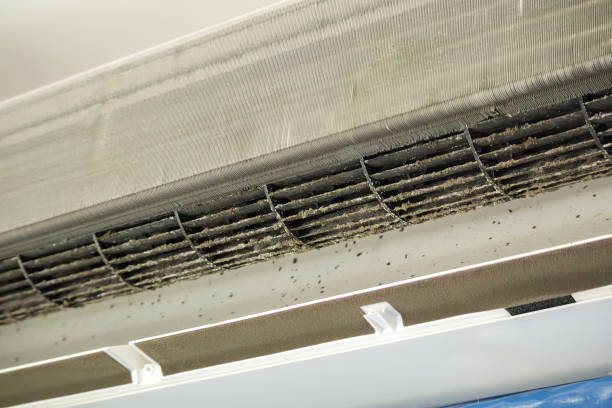 Best Residential Air Duct Cleaning  in Kingston, NJ