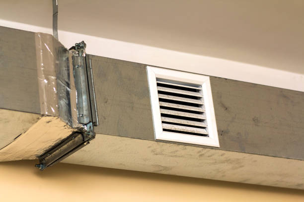 Best Professional Duct Cleaning Services  in Kingston, NJ